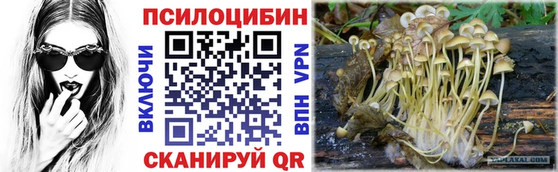 Галлюциногенные грибы прущие грибы  Элиста 